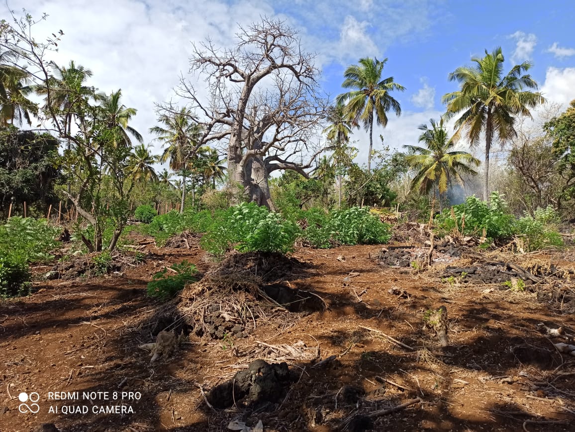 Photo 3 — Mihidjay Farms
