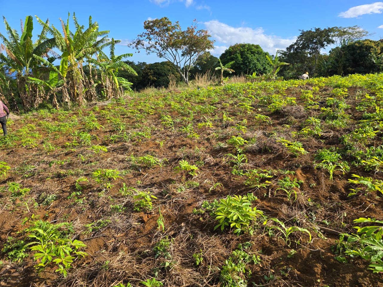 Photo 4 — Mihidjay Farms